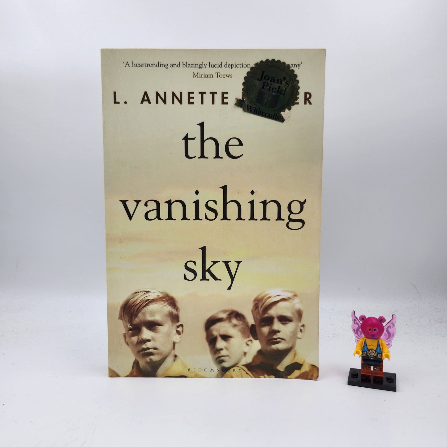 The Vanishing Sky