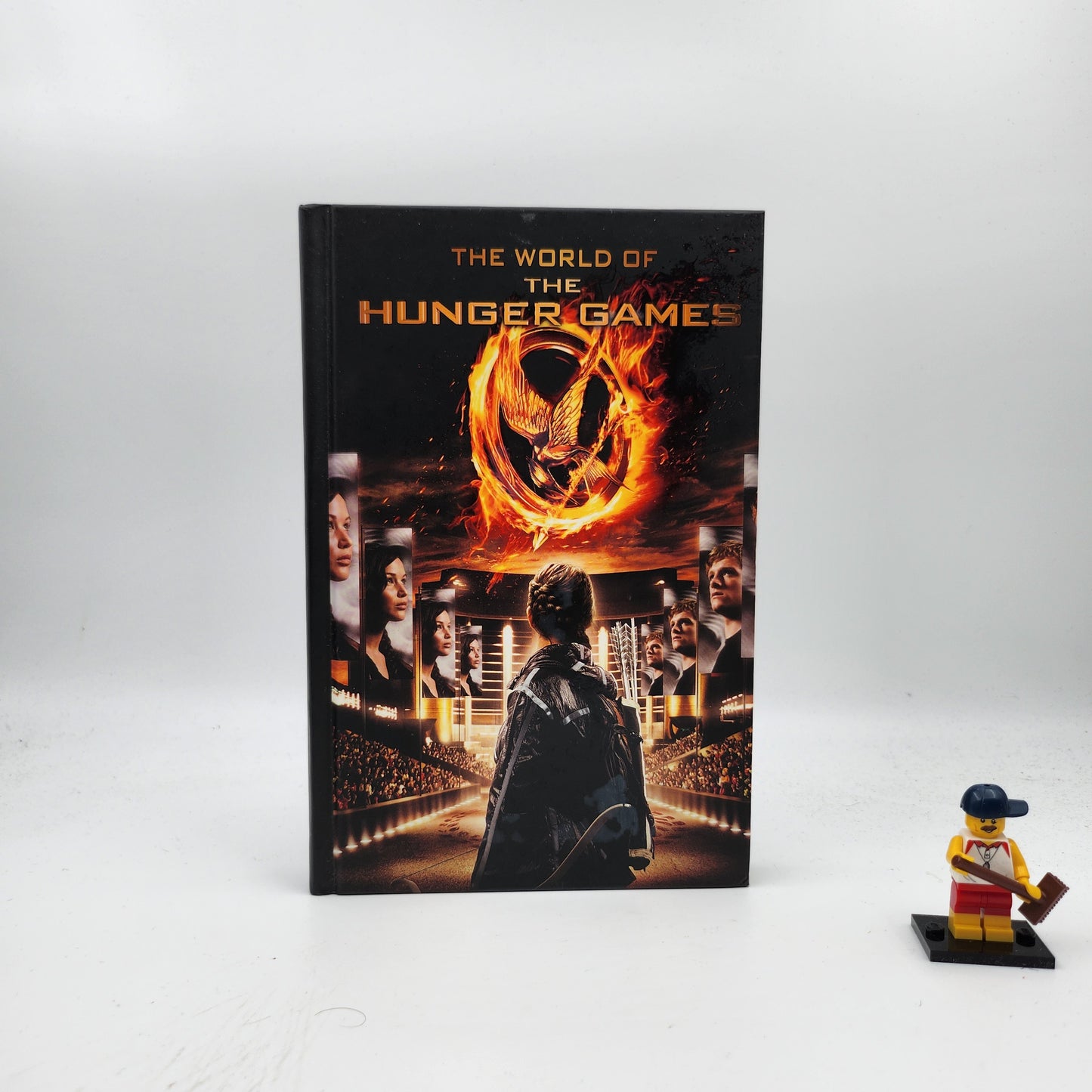 The World of the Hunger Games