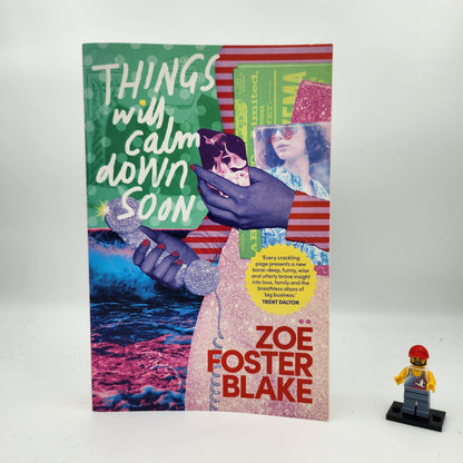 Things Will Calm Down Soon - Zoë Foster Blake