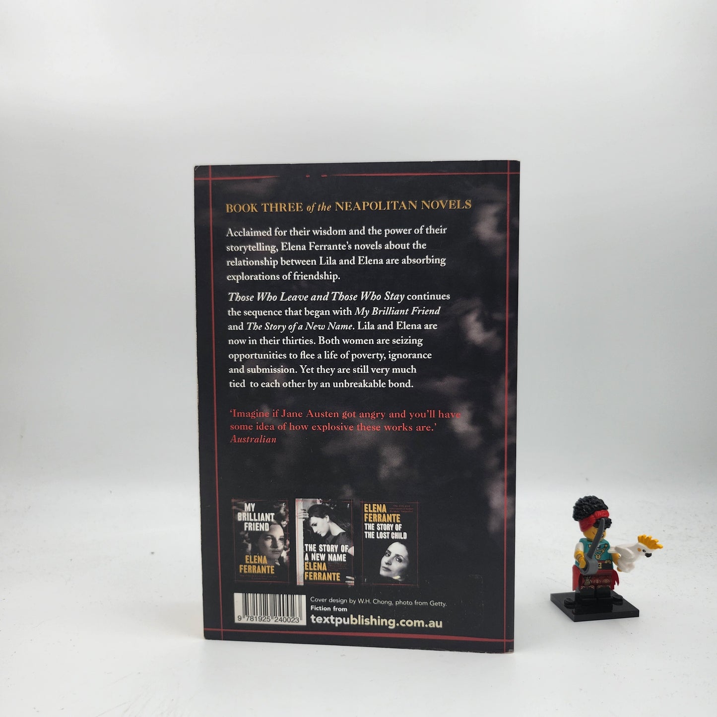 Those Who Leave and Those Who Stay (L'amica geniale #3)