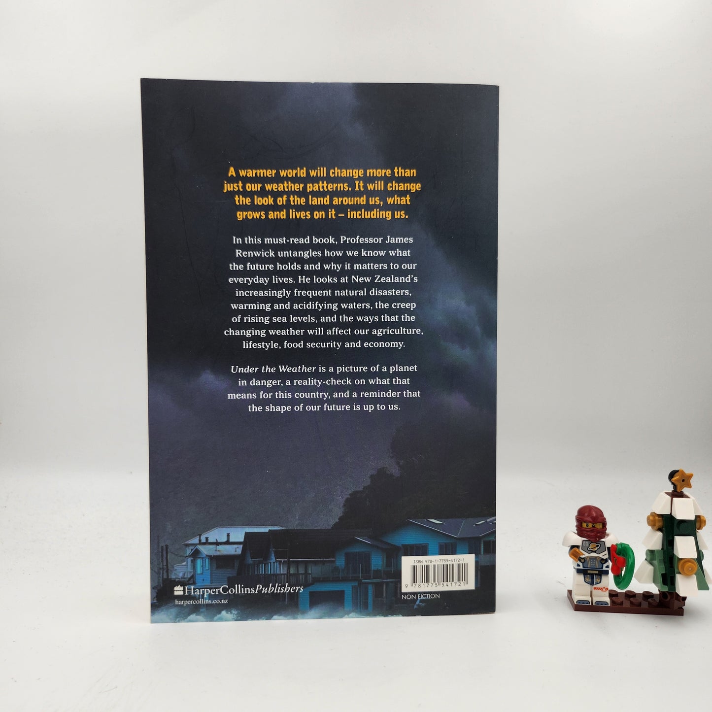 Under The Weather - James Renwick