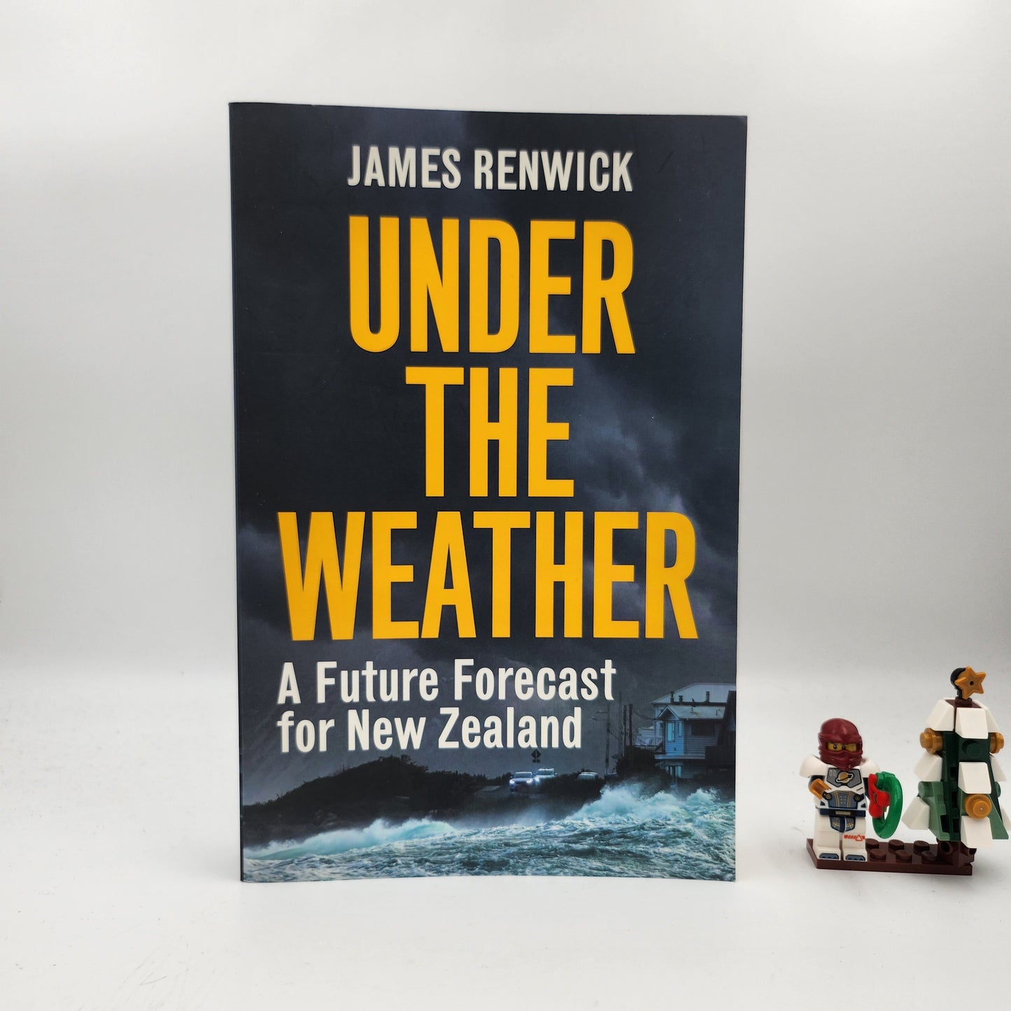 Under The Weather - James Renwick
