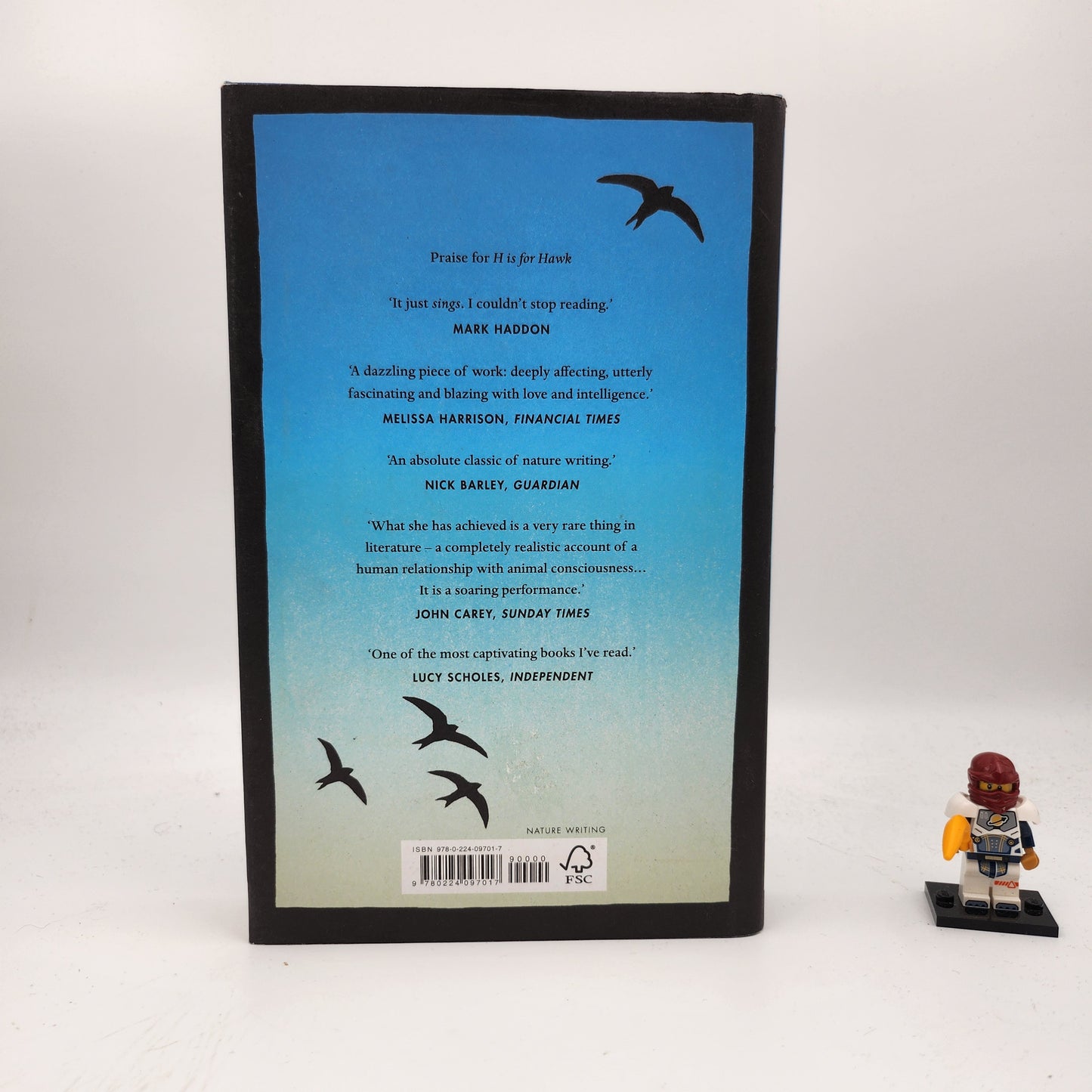Vesper Flights