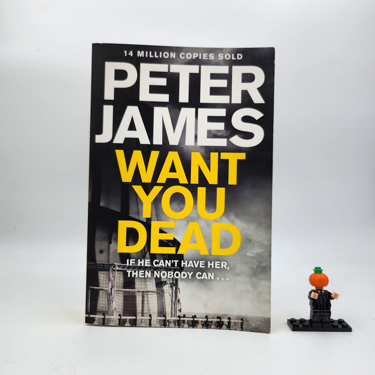 Want You Dead (Roy Grace #10)