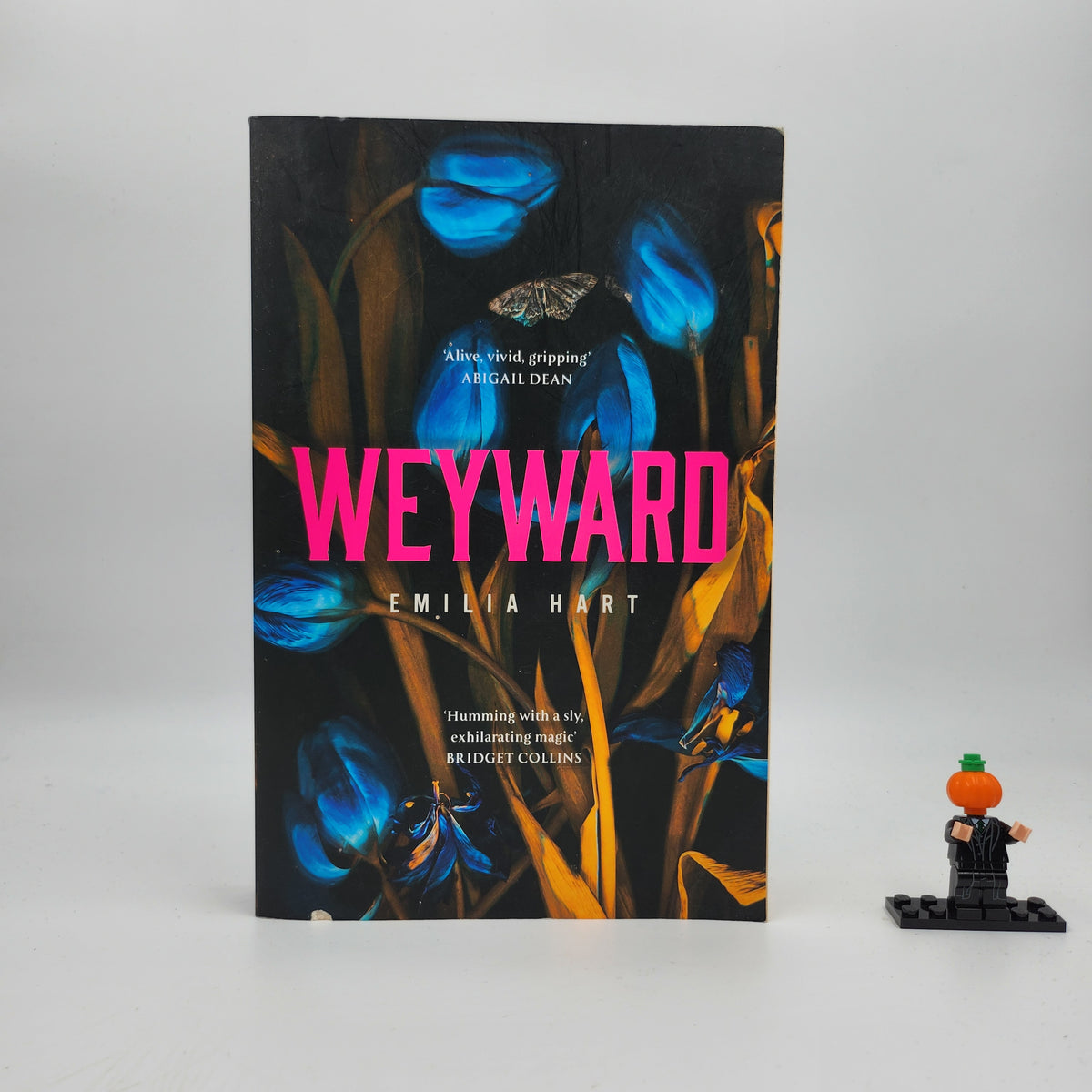 Weyward