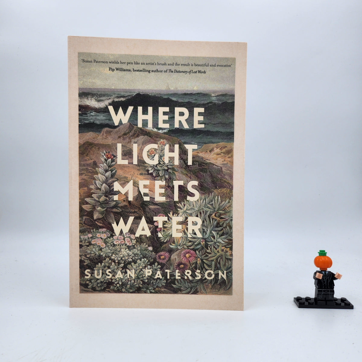 Where Light Meets Water