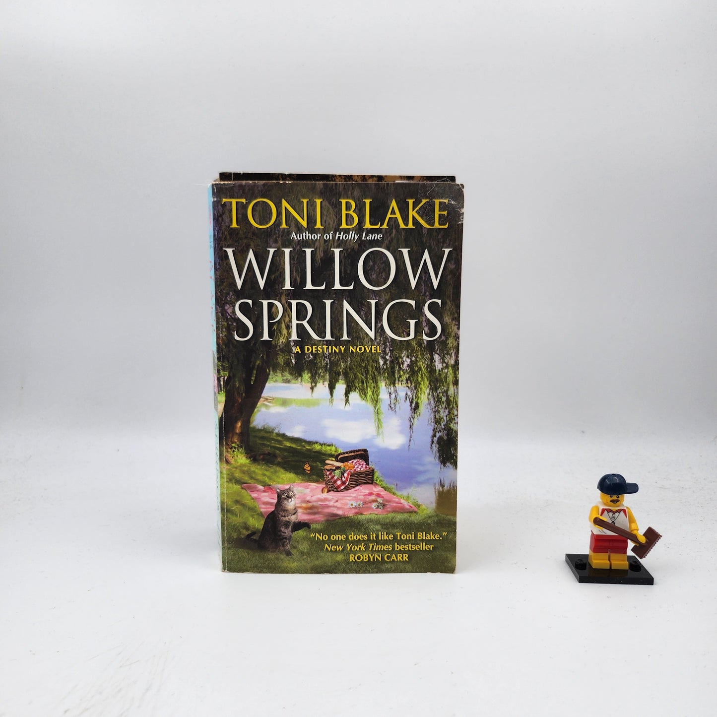 Willow Springs (Destiny #5) - Toni Blake