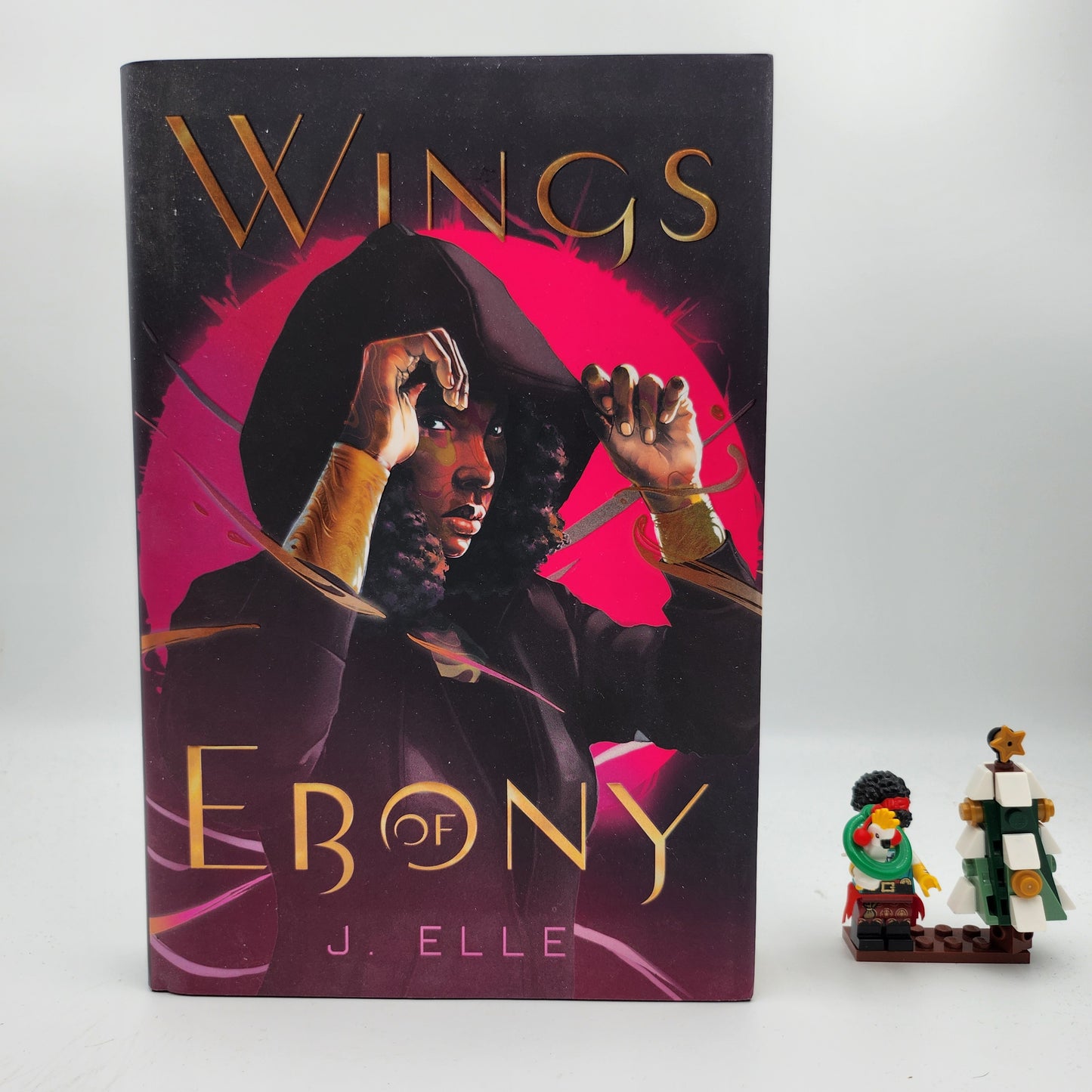 Wings of Ebony (Wings of Ebony #1) - J. Elle